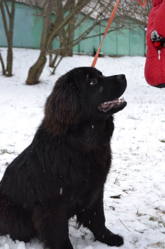 Фото: Салих Махмудов