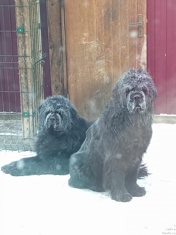 Фотография № 233415