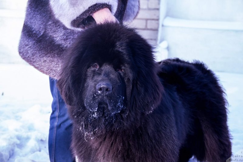 Фотография № 233457