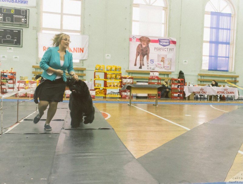 Фотография № 233469