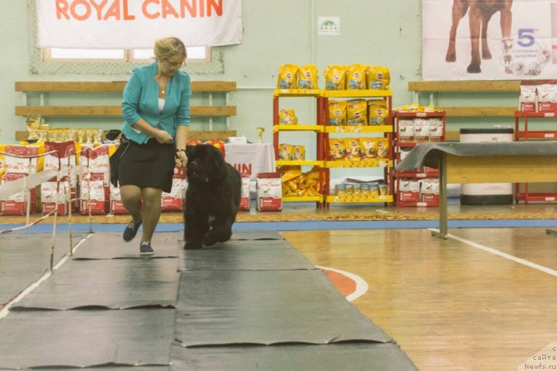 Фотография № 233470