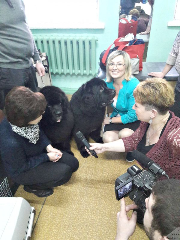 Фотография № 233479