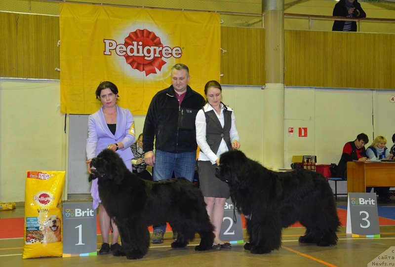 Фотография № 233499