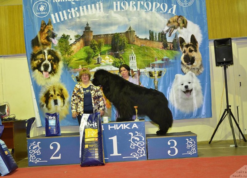 Фотография № 233500