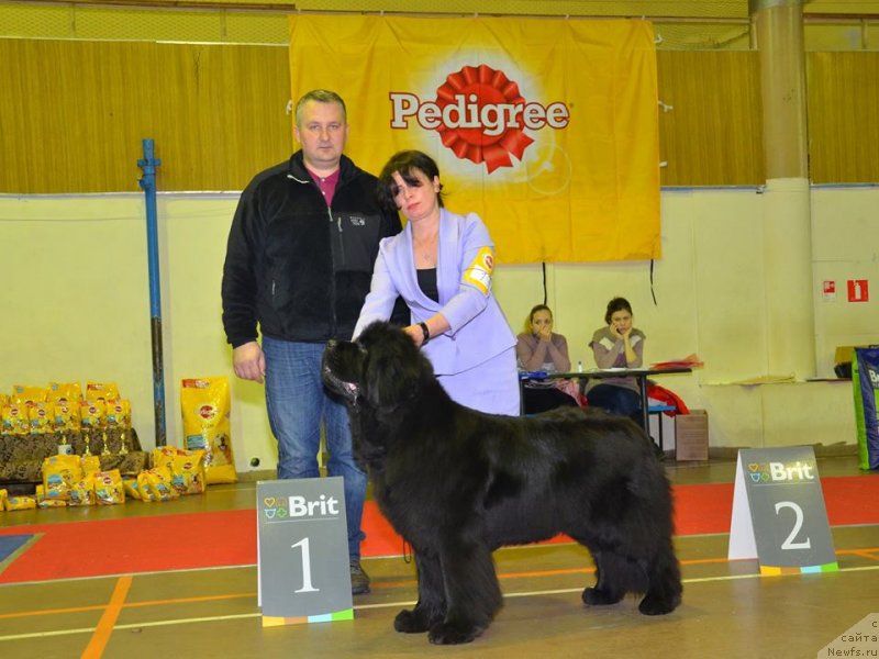 Фотография № 233501