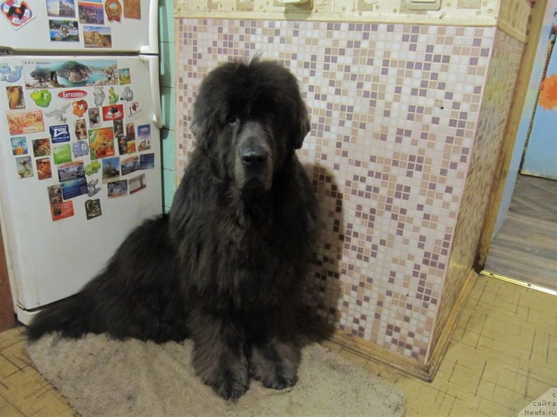 Фотография № 233511