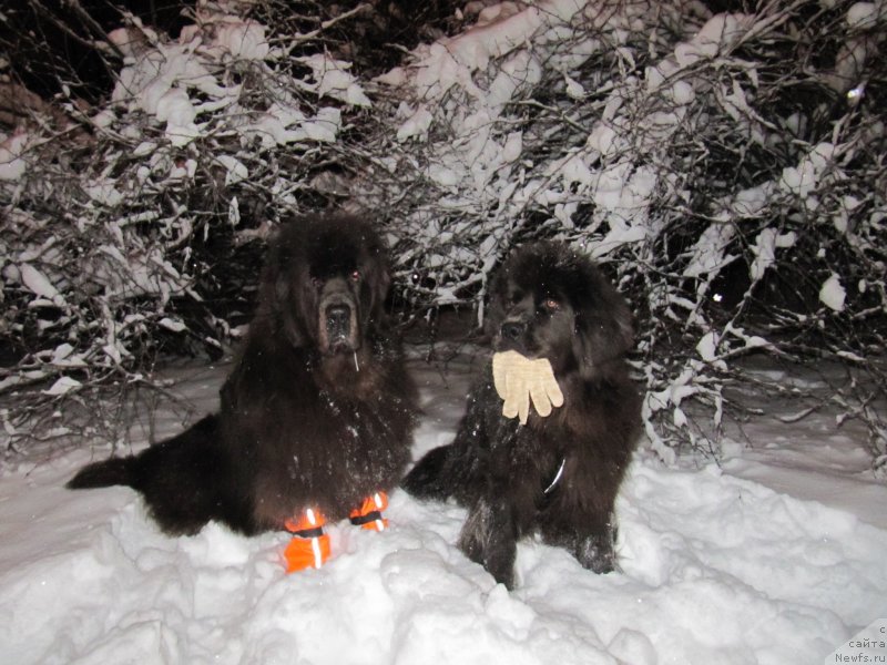 Фотография № 233512