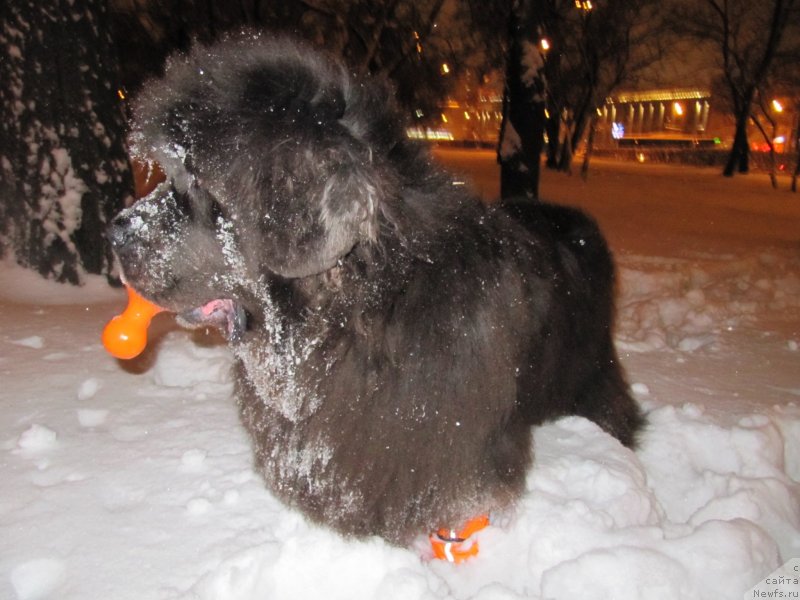 Фотография № 233515