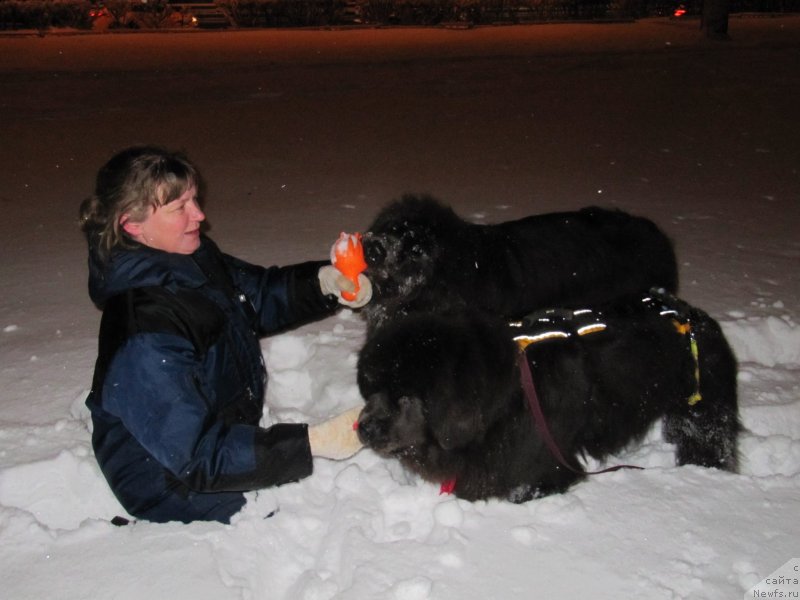 Фотография № 233517