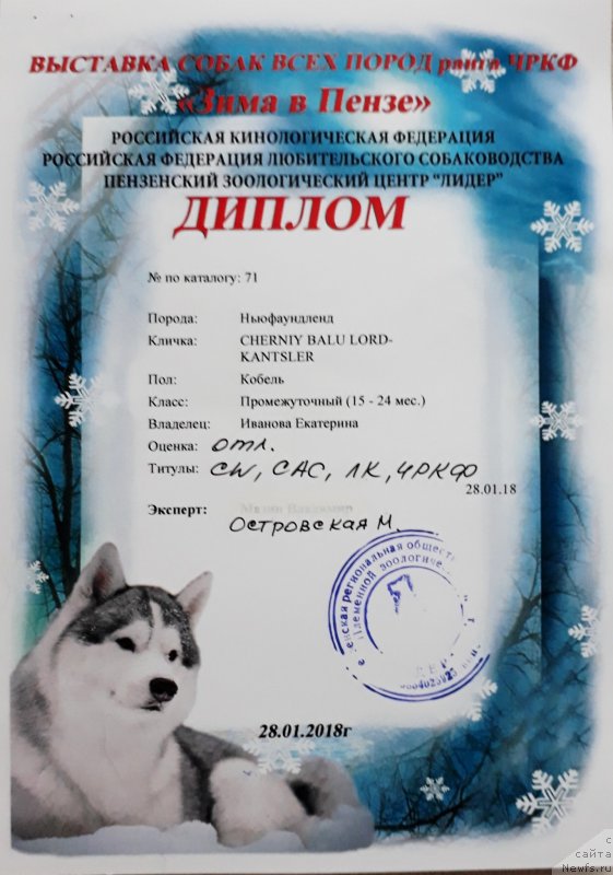 Фотография № 233524