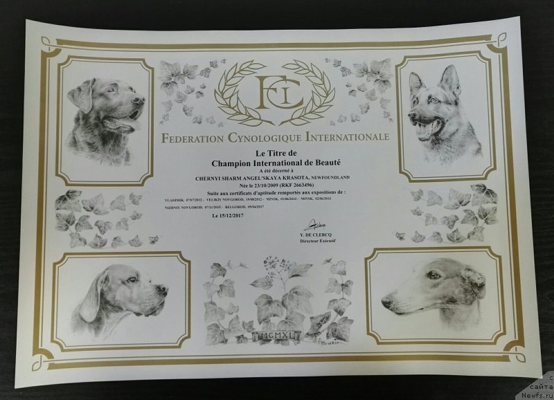 Фотография № 233537