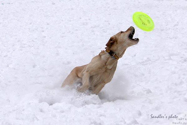 Фото: Татьяна Бурцева
