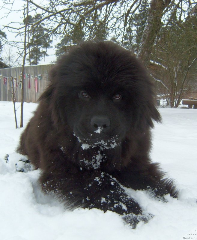 Фотография № 233551