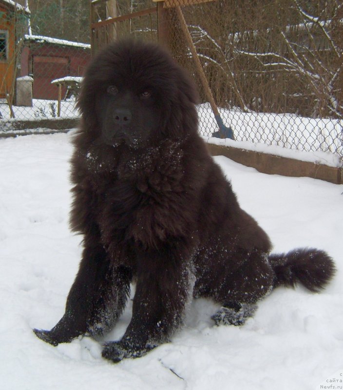 Фотография № 233552