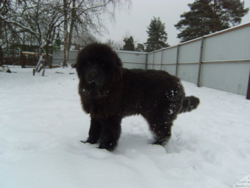 Фотография № 233553