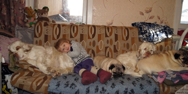 Фотография № 233574