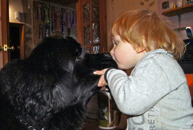 Фотография № 233575