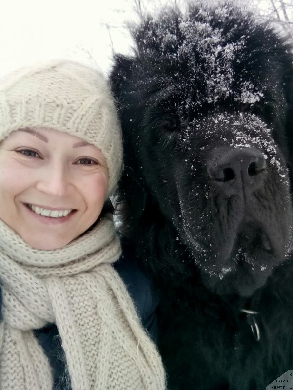 Фотография № 233577