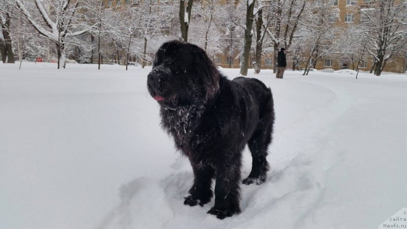 Фотография № 233595