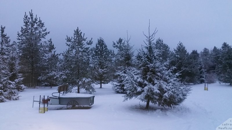 Фотография № 233596