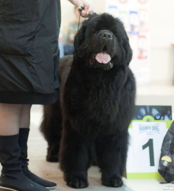 Фотография № 233599