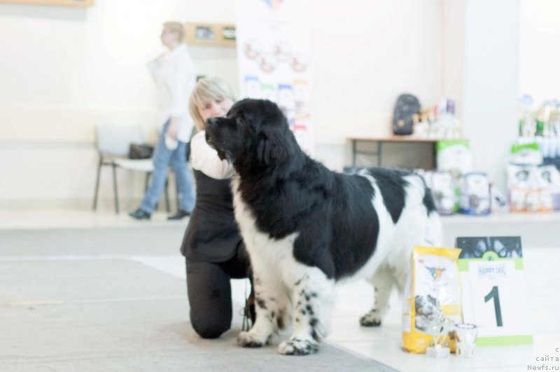 Фотография № 233601