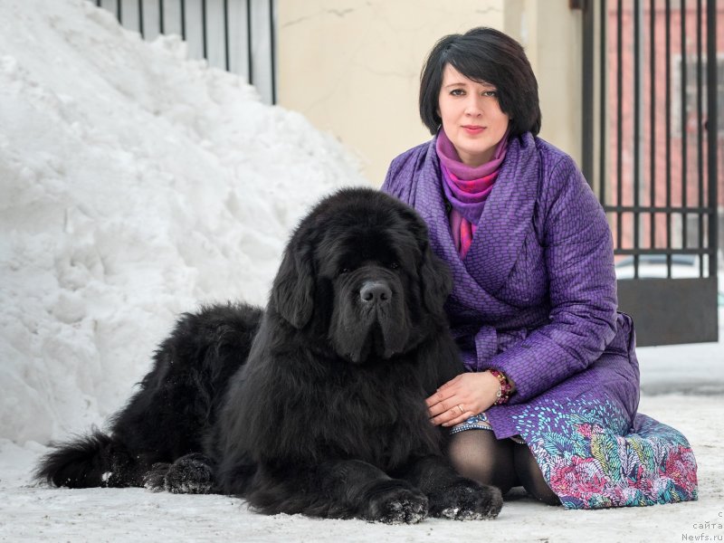 Фотография № 233608