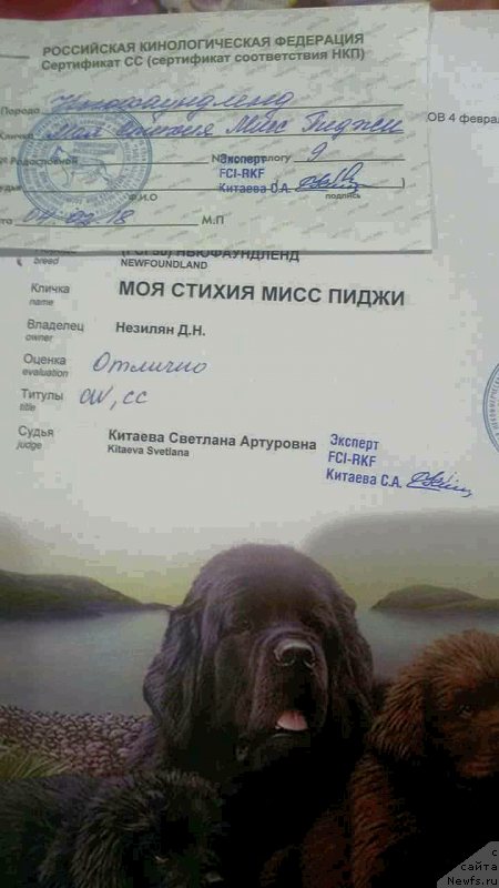 Фотография № 233623