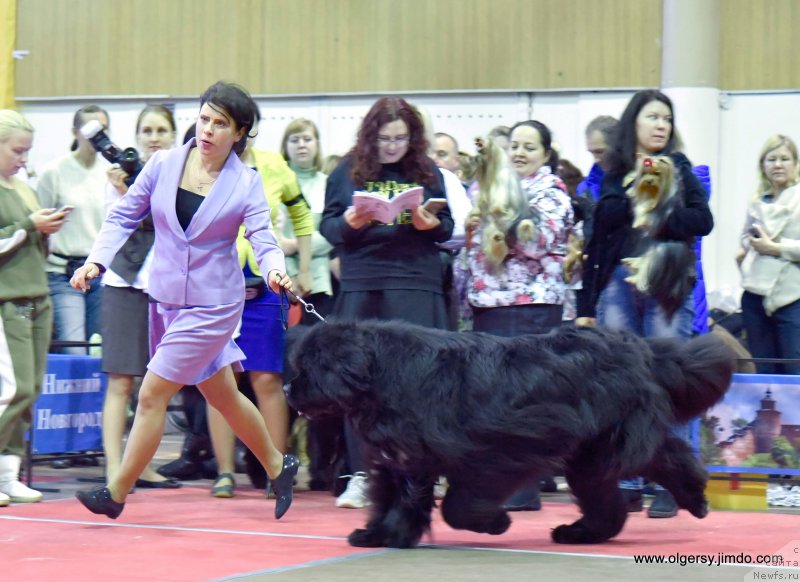 Фотография № 233628