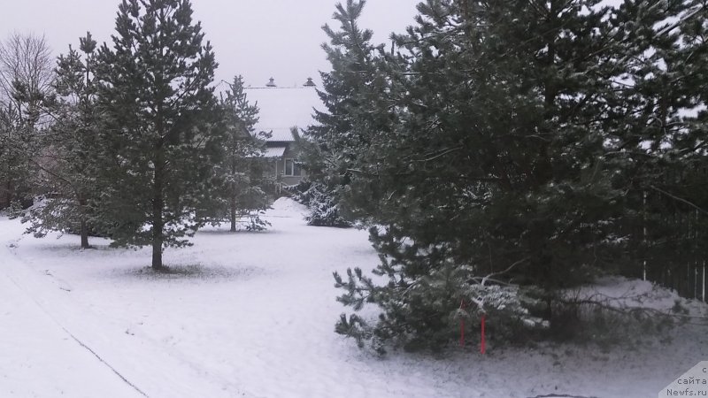 Фотография № 233633