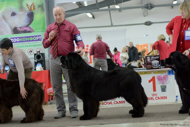 Фотография № 233676