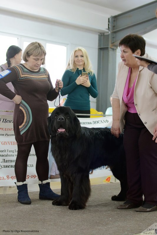 Фотография № 233677