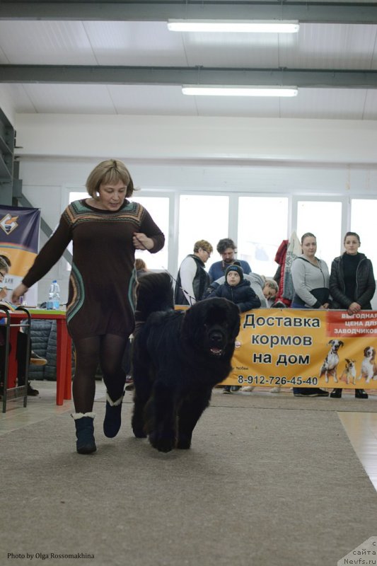 Фотография № 233678