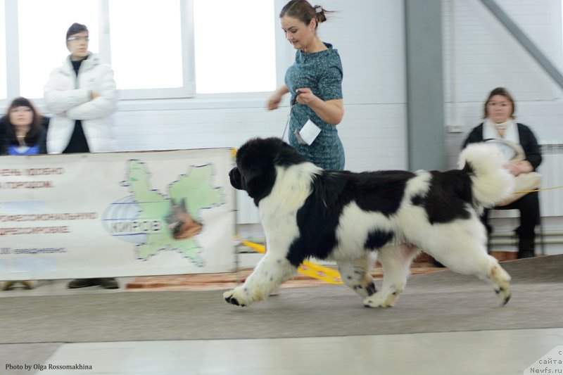 Фотография № 233679