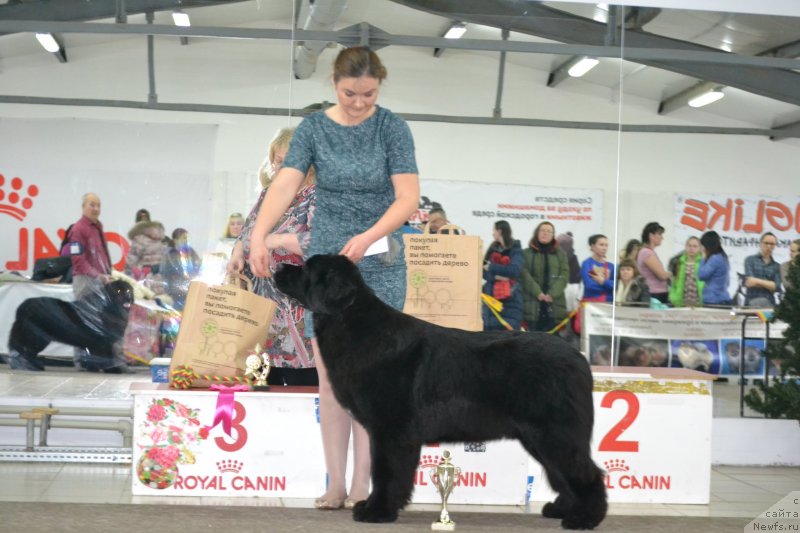 Фотография № 233682