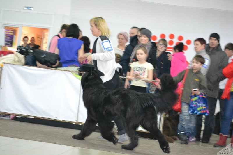 Фотография № 233683