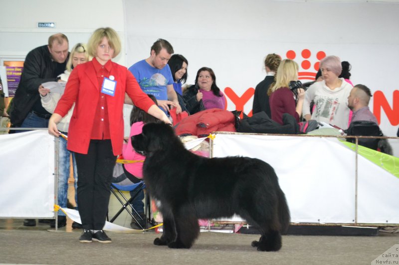 Фотография № 233684