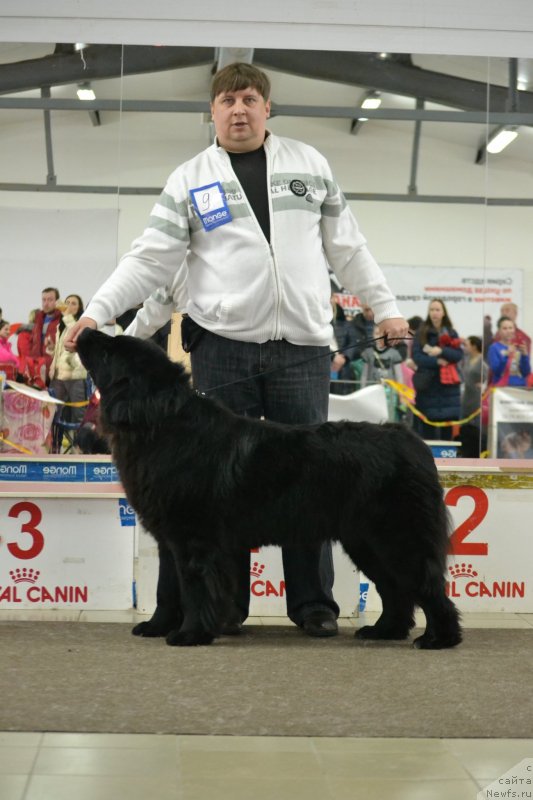 Фотография № 233687