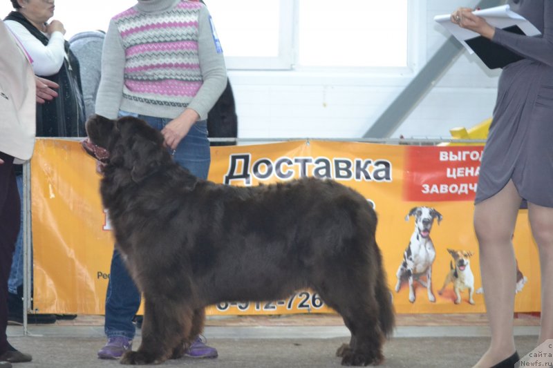 Фотография № 233690