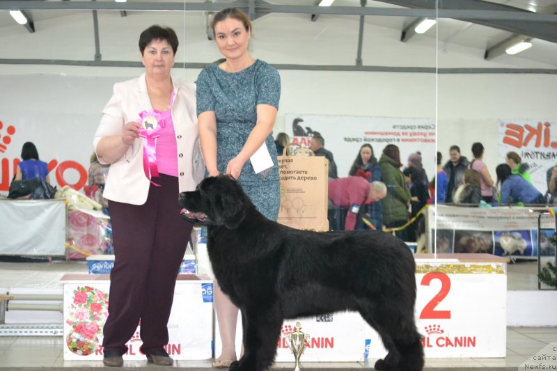 Фотография № 233694