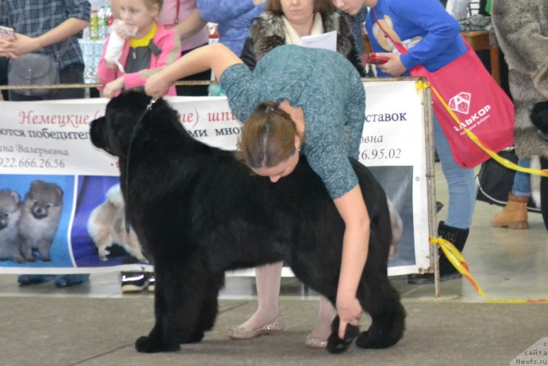 Фотография № 233696