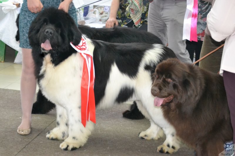 Фотография № 233698