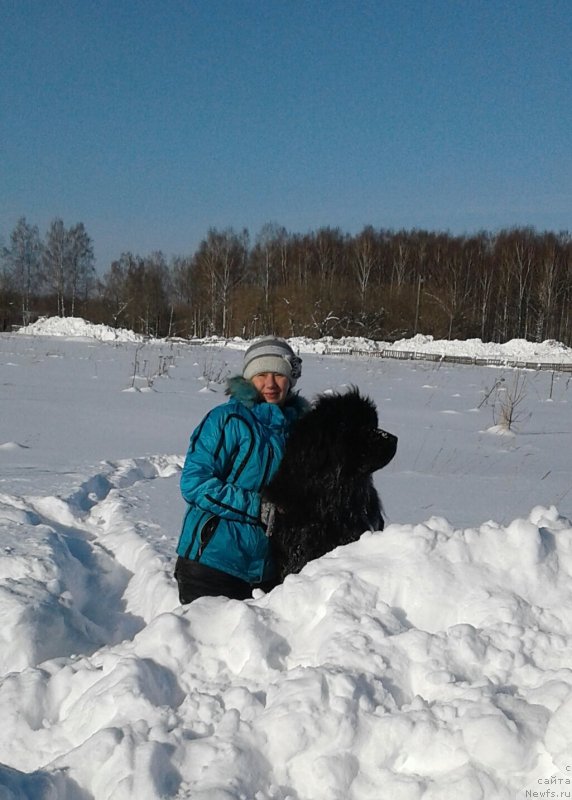 Фотография № 233699