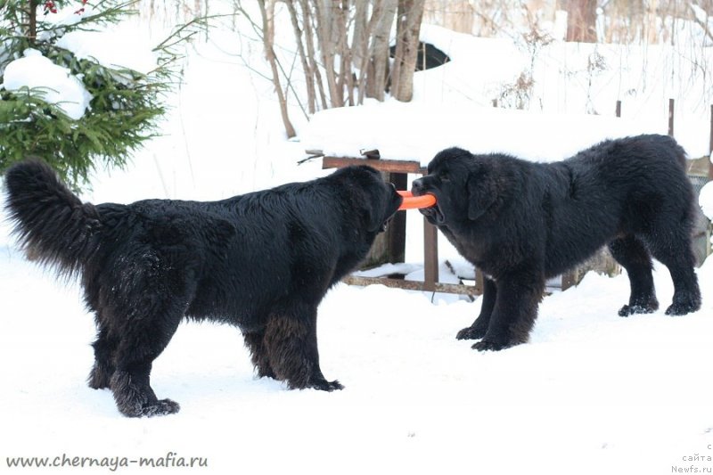 Фотография № 233744