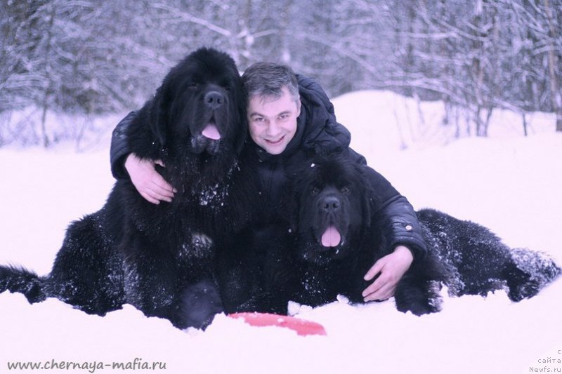 Фотография № 233747