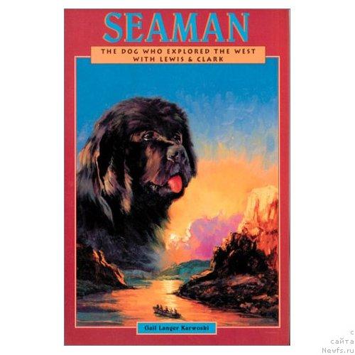 Фотография № 23379