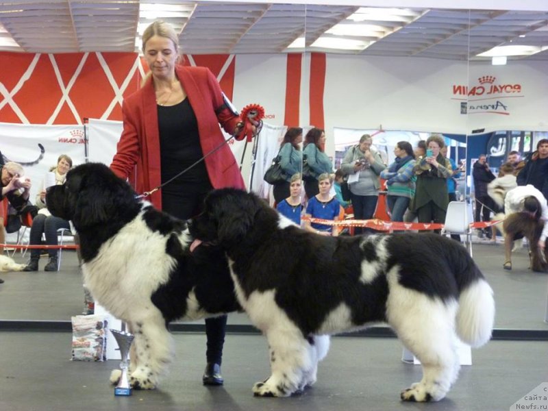 Фотография № 233790