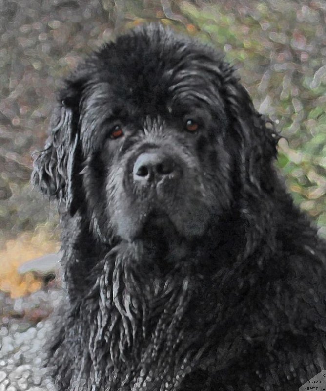 Фотография № 233791