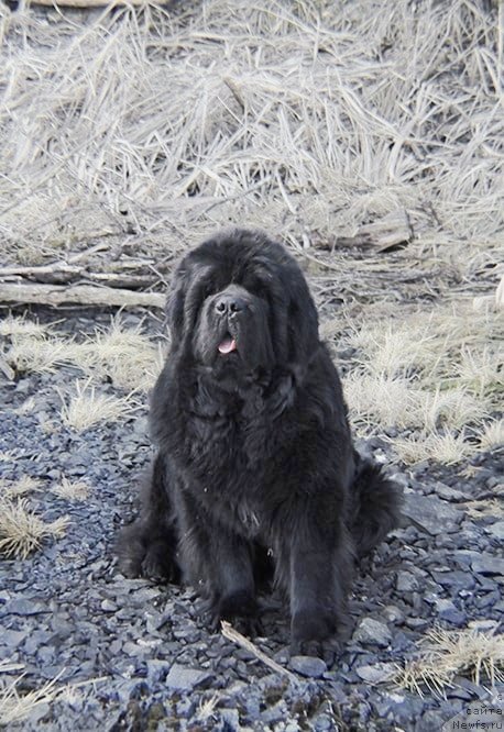 Фотография № 233798