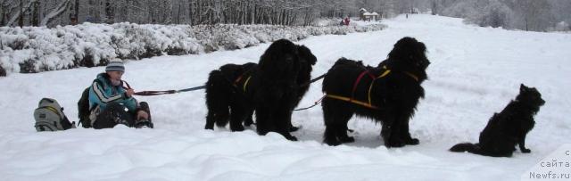 Фотография № 23382